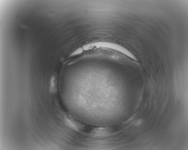 X0000068820082200605081156