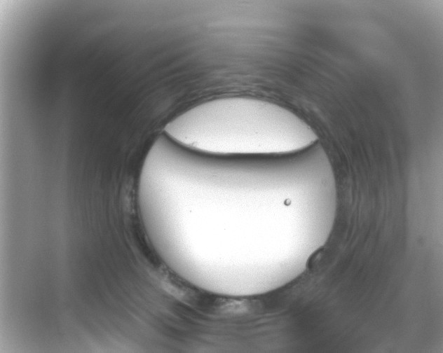 X0000068820083200605081156