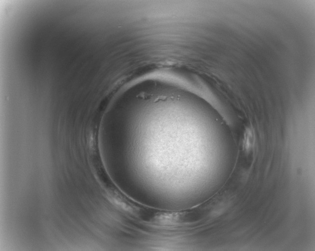 X0000068820084200605081156