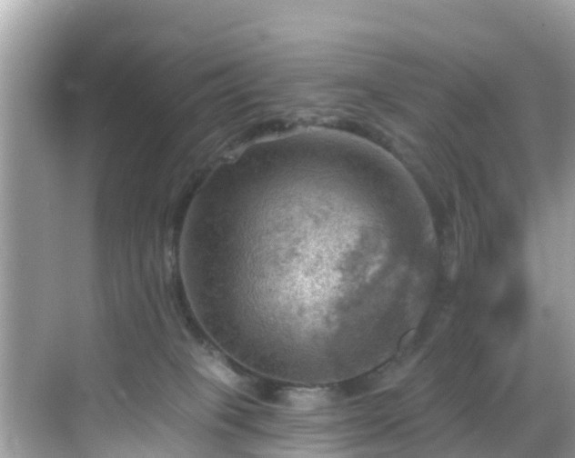 X0000068820085200605081156