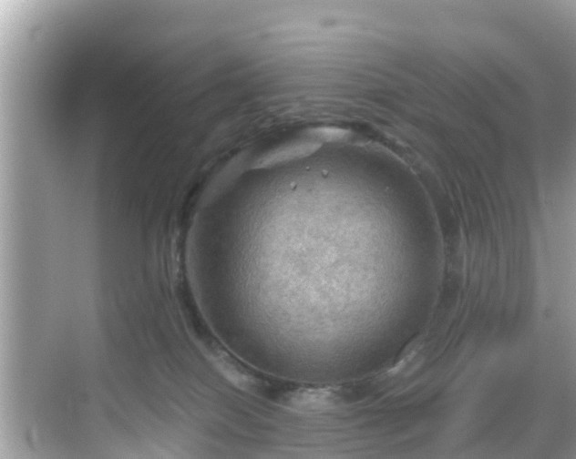 X0000068820086200605081156