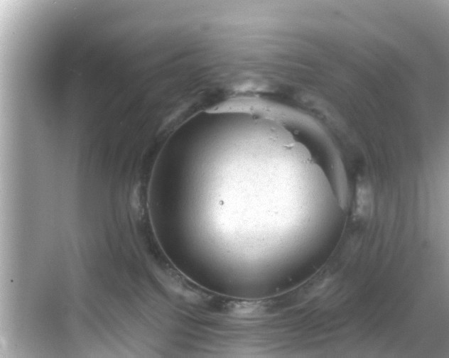 X0000068820088200605081156