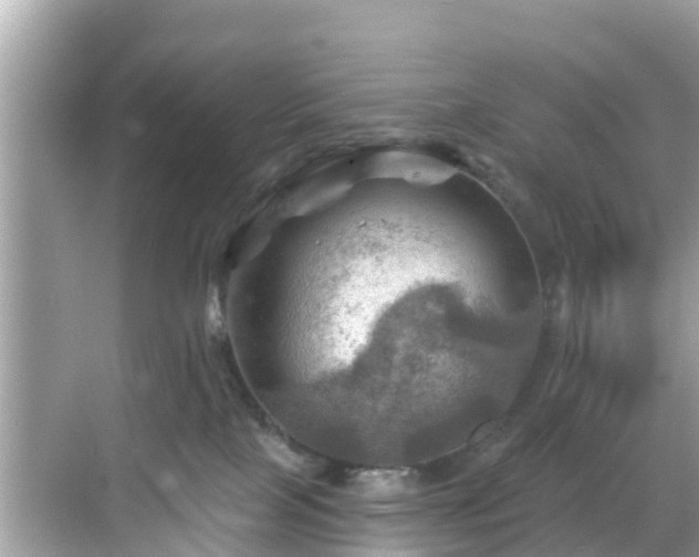 X0000068820089200605081156