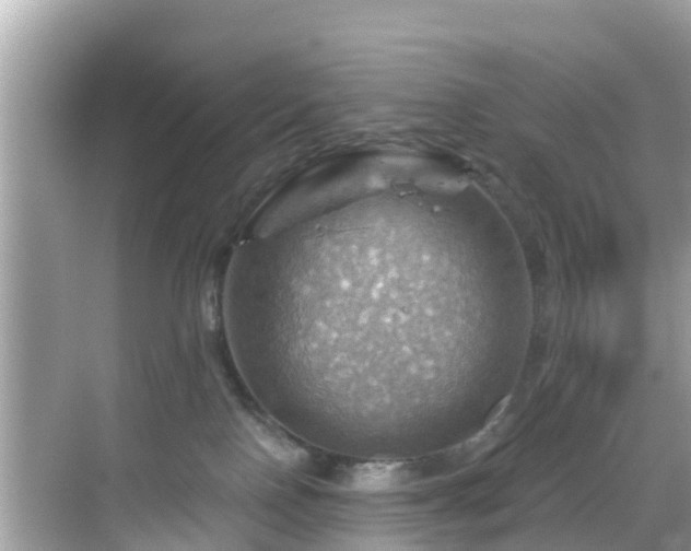 X0000068820090200605081156