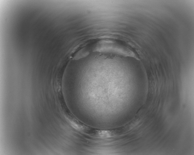 X0000068820091200605081156