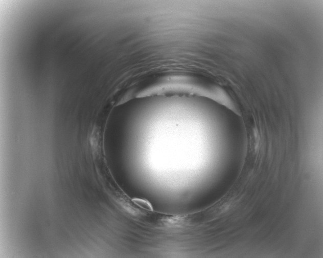 X0000068820092200605081156