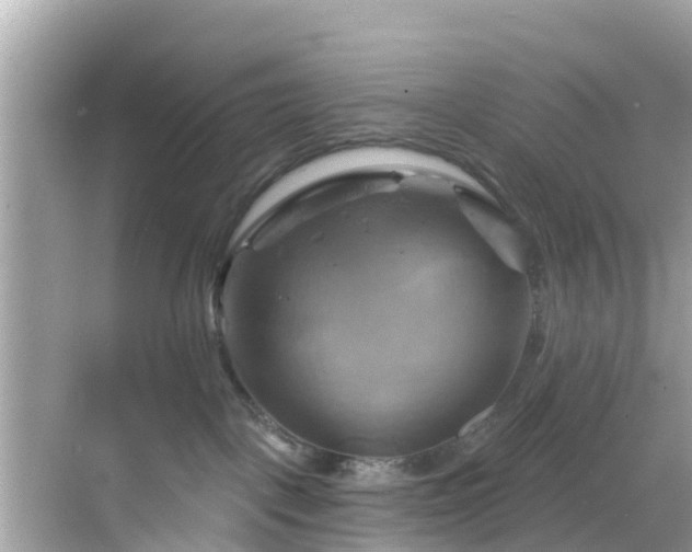 X0000068820093200605081156