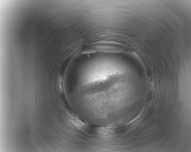 X0000068820094200605081156