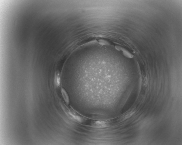 X0000068820095200605081156