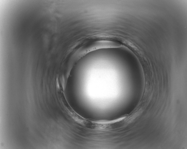 X0000068820096200605081156