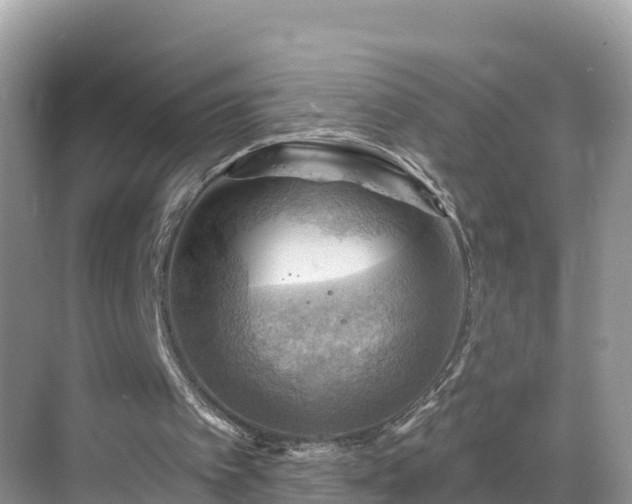 X0000068820097200605081156