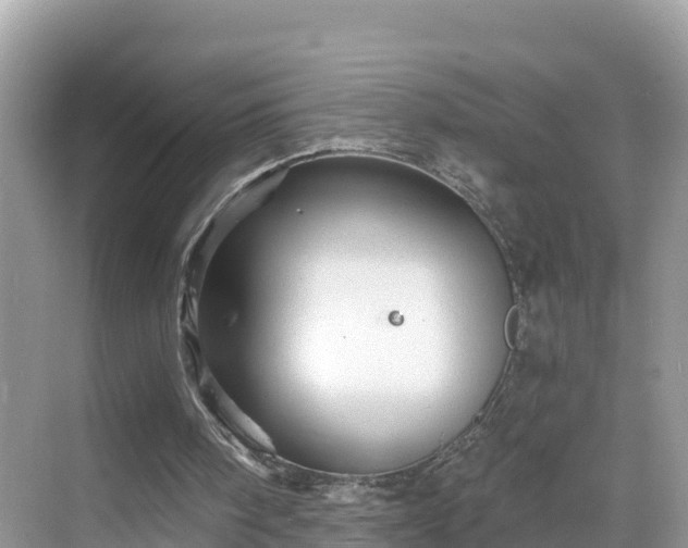 X0000068820098200605081156