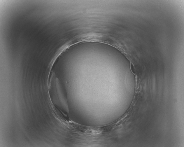 X0000068820099200605081156