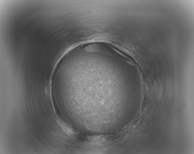 X0000068820100200605081156