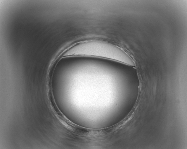 X0000068820101200605081156