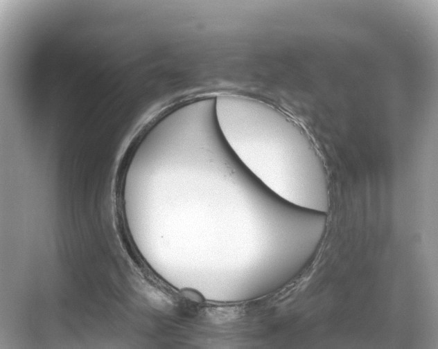 X0000068820102200605081156