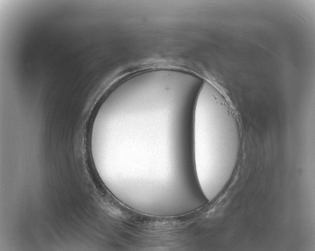 X0000068820103200605081156