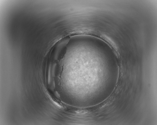 X0000068820105200605081156