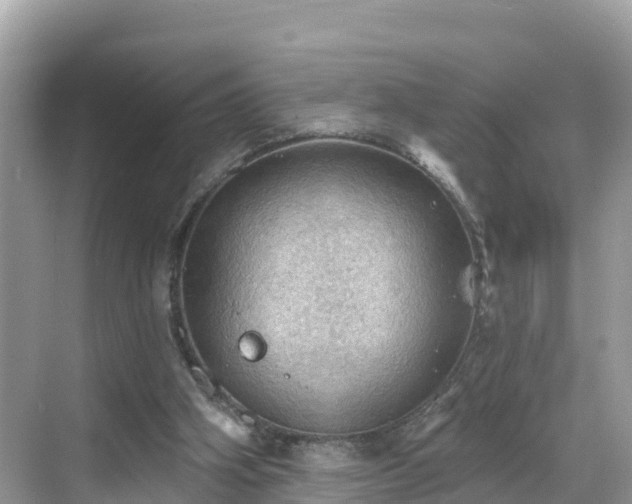 X0000068820106200605081156