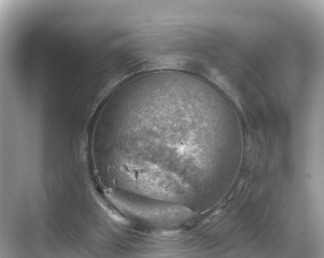 X0000068820107200605081156