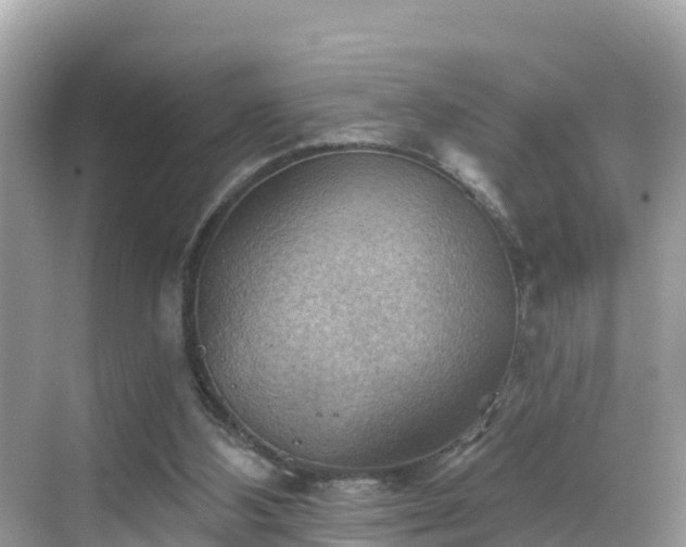 X0000068820108200605081155