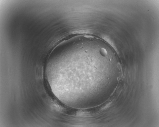 X0000068820109200605081155