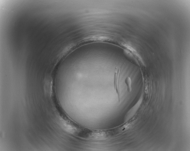 X0000068820110200605081155