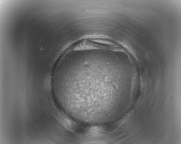 X0000068820111200605081155