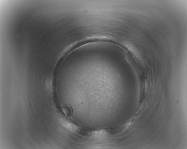 X0000068820112200605081155