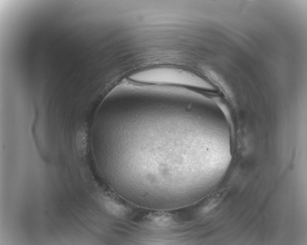 X0000068820113200605081155