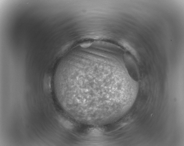 X0000068820115200605081155