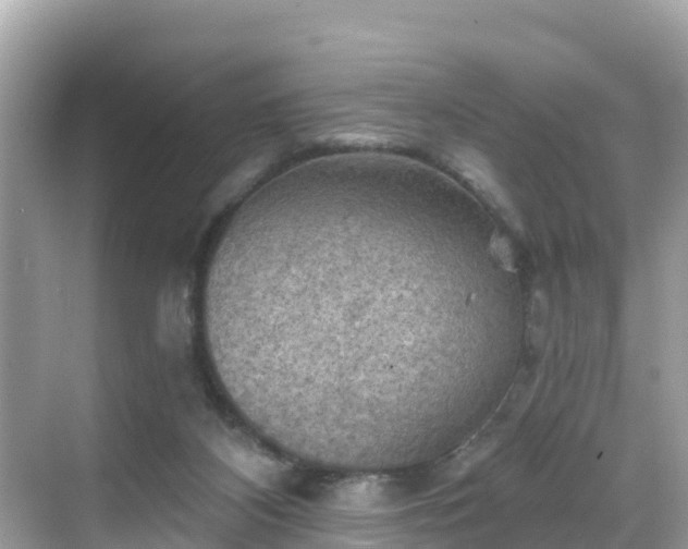 X0000068820116200605081155