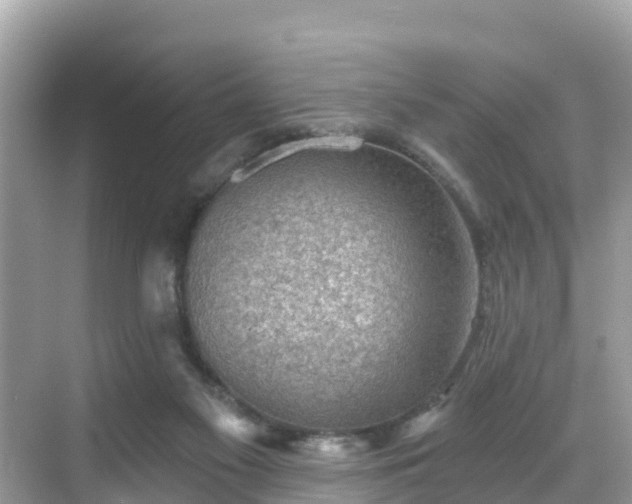 X0000068820117200605081155