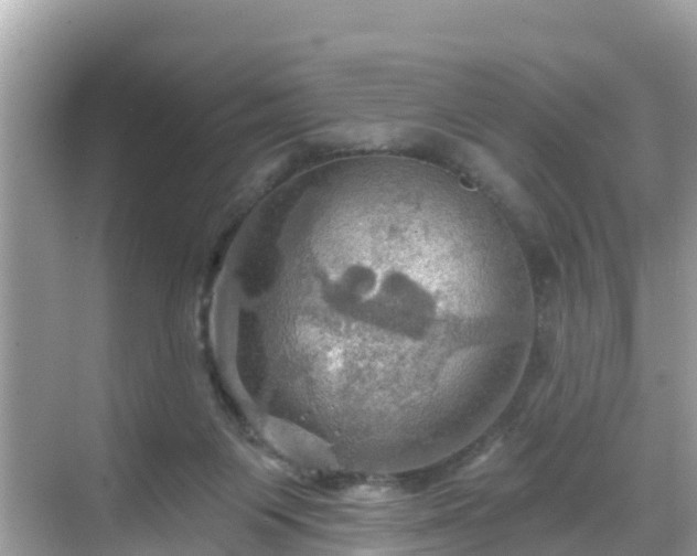 X0000068820119200605081155