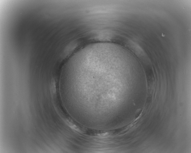 X0000068820120200605081155