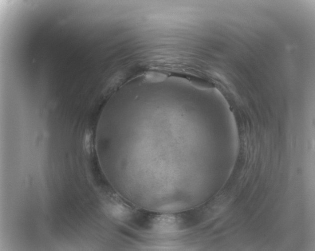 X0000068820123200605081155