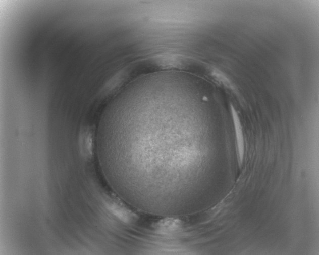 X0000068820124200605081155