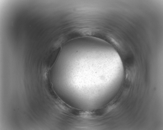 X0000068820125200605081155