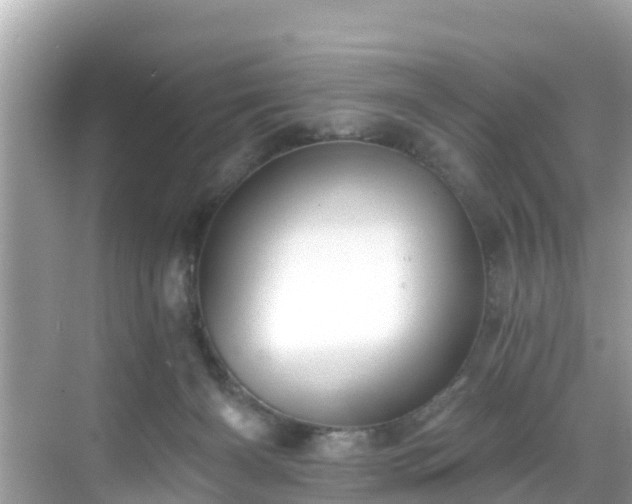 X0000068820126200605081155