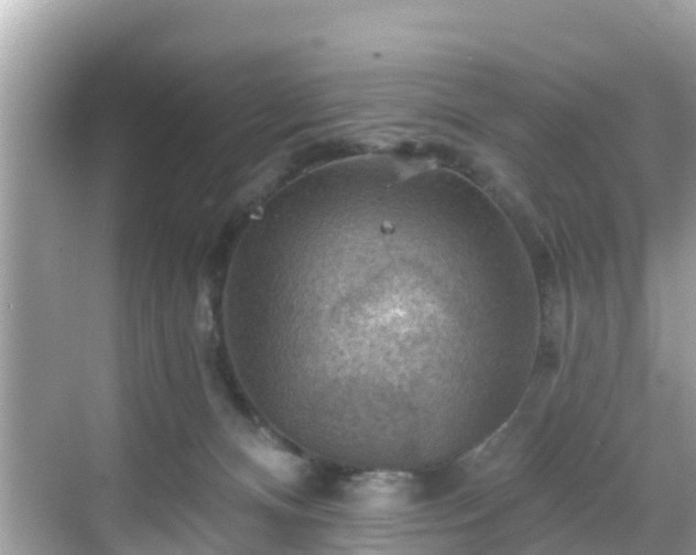 X0000068820128200605081155