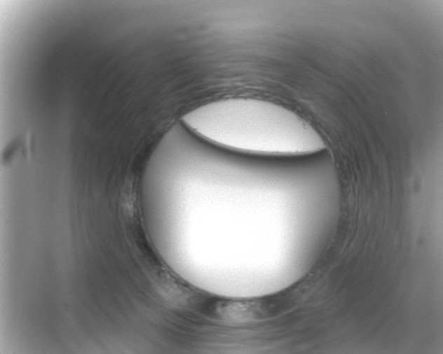 X0000068820129200605081155