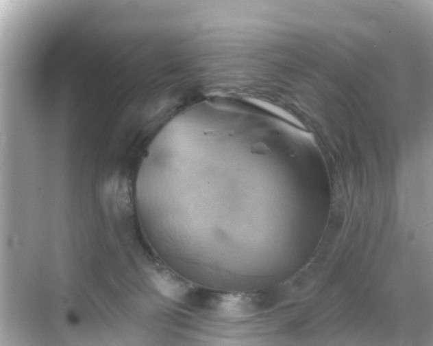 X0000068820130200605081155