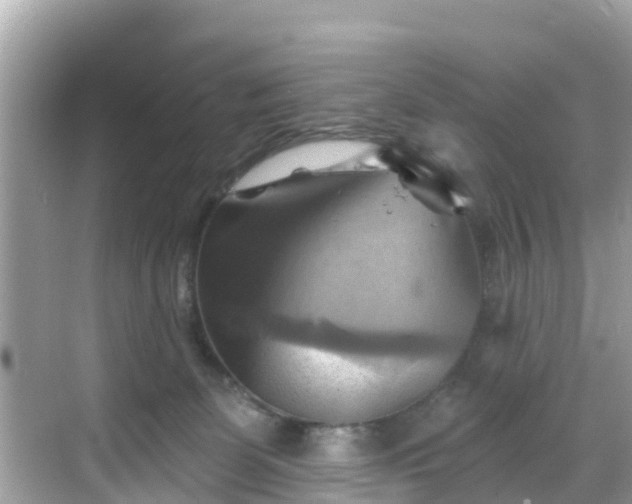 X0000068820131200605081155