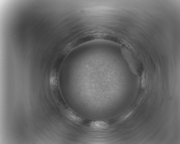 X0000068820137200605081155