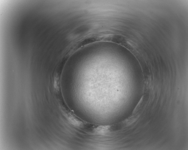 X0000068820138200605081155