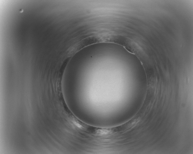 X0000068820139200605081155