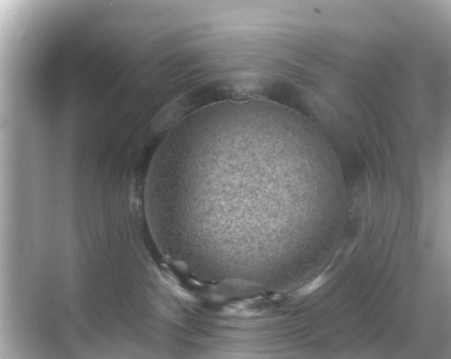 X0000068820140200605081155