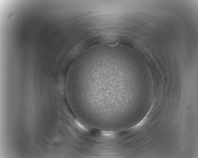 X0000068820144200605081155