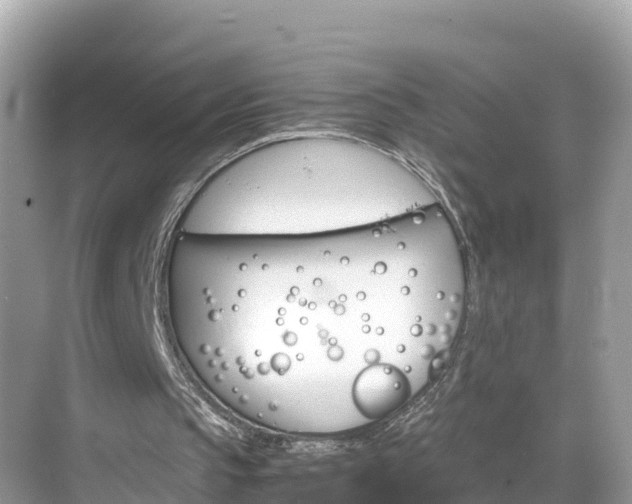 X0000068820145200605081154