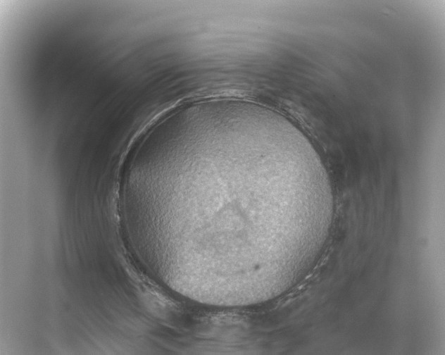 X0000068820146200605081154